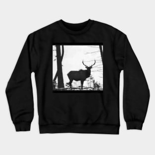 Rocky Mountain Elk Crewneck Sweatshirt